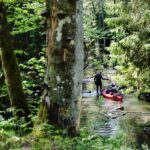 Spływ kajakowy Mazury – Gdzie najlepiej się wybrać?