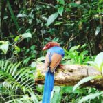 Maroko: Kiedy Najlepiej Jechać i Co Warto Wiedzieć