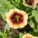 Jak się ubrać do samolotu, aby być komfortowo i stylowo?