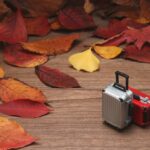 Gdzie na narty? Najlepsze miejsca i porady na sezon 2024