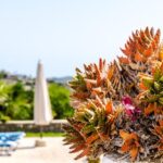 Suntago: Gdzie Jest i Jak Dojechać do Parku Wodnego?