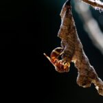 Kiedy najlepiej kupować bilety lotnicze? Sprawdź nasze porady!