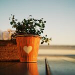 Suntago: Gdzie Jest i Jak Dojechać do Parku Wodnego?