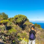 Kiedy najlepiej kupować bilety lotnicze? Sprawdź nasze porady!