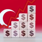 Supertunia Vista: Gdzie Kupić Nasiona i Sadzonki?